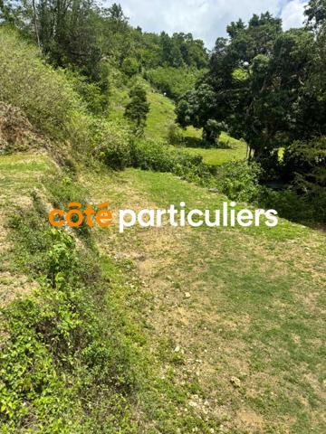 Vente Terrain1000 m² - LE GOSIER (97190)