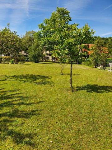Maison 3 chambres 110 m2 sur beau terrain clos et arboré