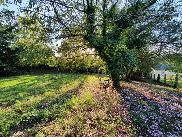 La nature en ville