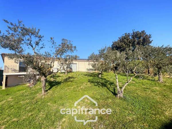 LES TAILLADES, maison individuelle de plain pied de 210 m2, en campagne, 4 chambres, sur un terrain de 2900 m2 environ, piscinene