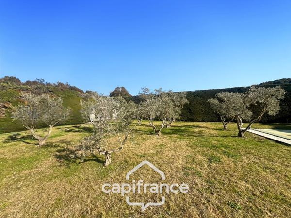 LES TAILLADES, maison individuelle de plain pied de 210 m2, en campagne, 4 chambres, sur un terrain de 2900 m2 environ, piscinene