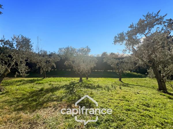 LES TAILLADES, maison individuelle de plain pied de 210 m2, en campagne, 4 chambres, sur un terrain de 2900 m2 environ, piscinene