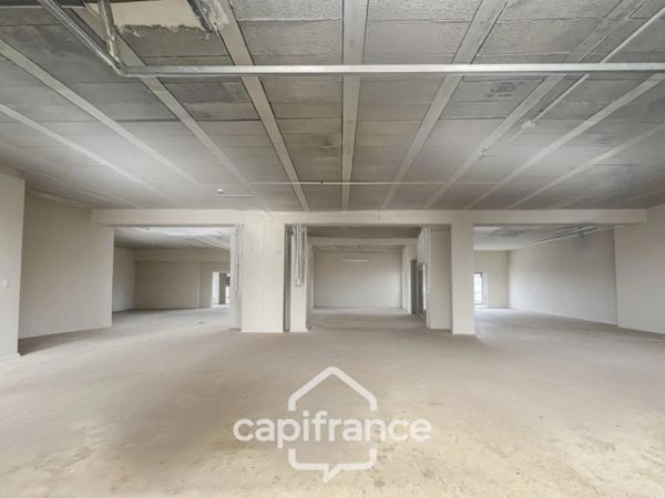 LES TAILLADES, maison individuelle de plain pied de 210 m2, en campagne, 4 chambres, sur un terrain de 2900 m2 environ, piscinene