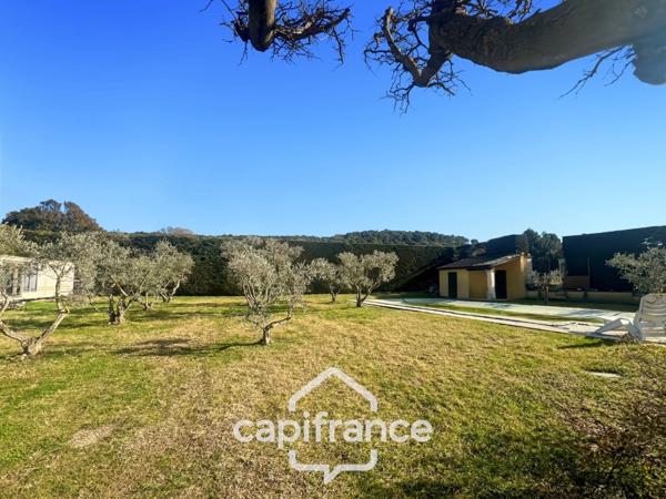 LES TAILLADES, maison individuelle de plain pied de 210 m2, en campagne, 4 chambres, sur un terrain de 2900 m2 environ, piscinene