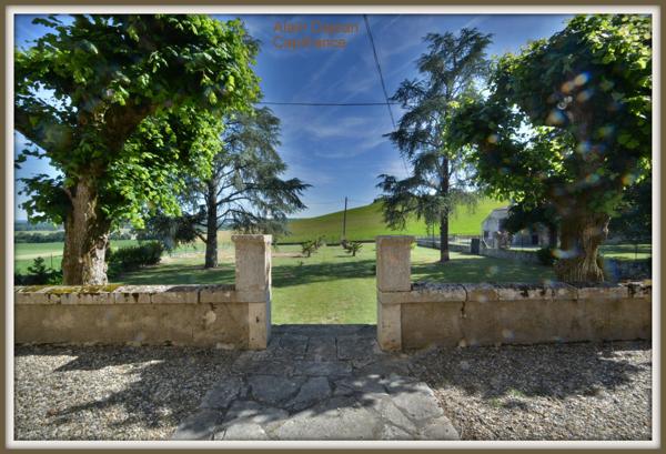 Dpt Lot et Garonne (47), à vendre proche d' AGEN Propriété P8 de 385 m² plus dépendances de 400 M2- Terrain d'une Hectare