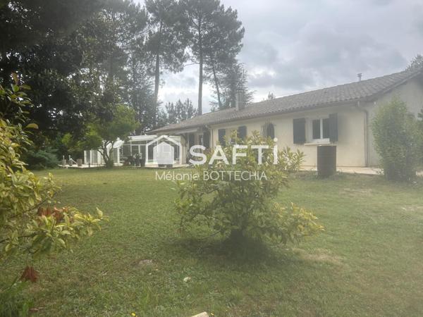 Maison familiale avec grand terrain, piscine et double garage à Bazas