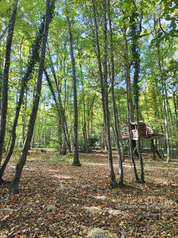 Maison familiale 4 chambres CHUELLES (45)