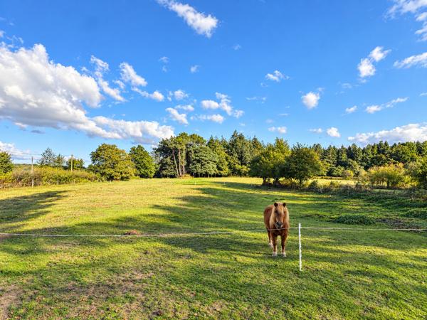 Pluvigner – La Maison de Plain-Pied & Son Terrain Équestre de 1,8 Ha Avec Hangar de 200m²