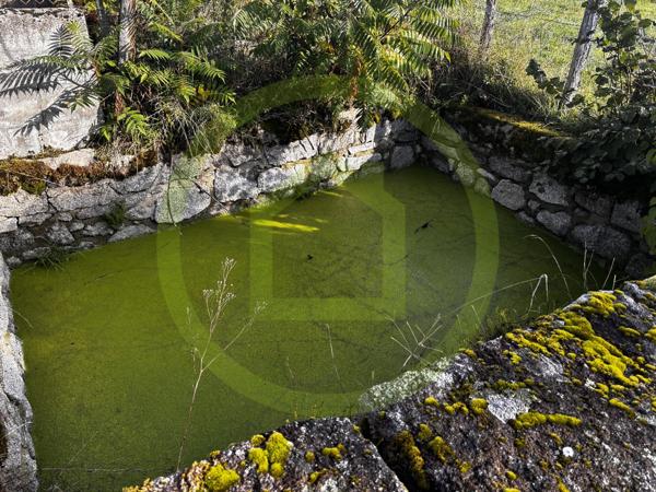 Propriété à ISSOUDUN LETRIEIX (23130)