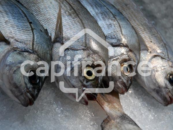 Dpt Charente Maritime (17), à vendre Poissonnerie