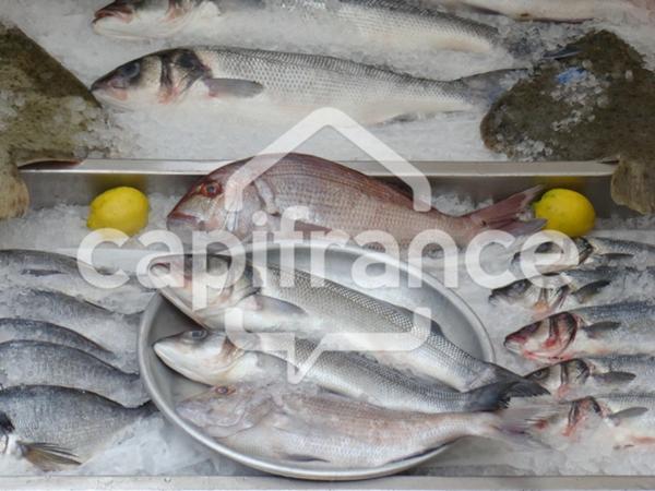 Dpt Charente Maritime (17), à vendre Poissonnerie