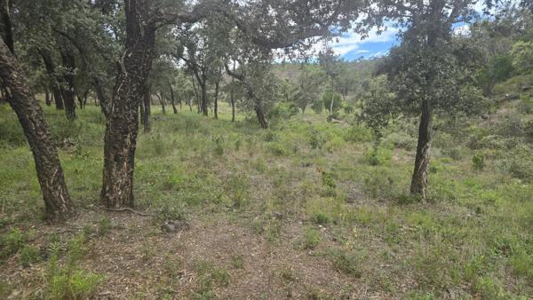 Vente                                                      Terrain
                        
                                         47000 m2                     à Bormes-les-Mimosas