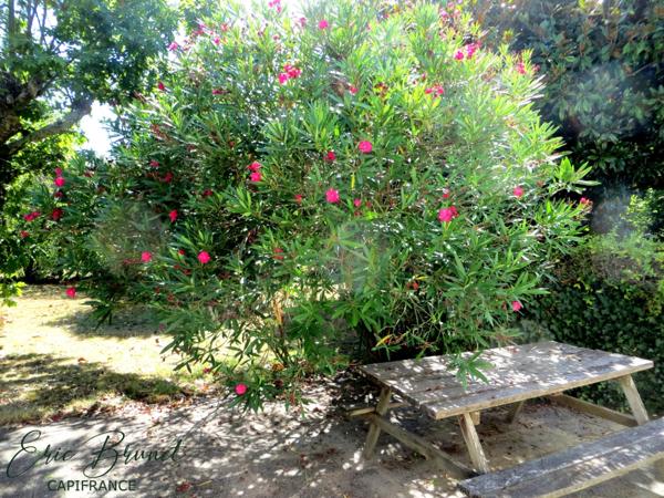 LANTON - maison 3 chambres avec garage et annexes