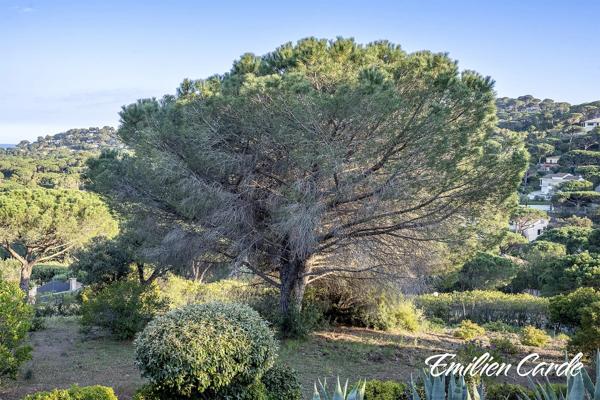 Terrain constructible à Sainte-Maxime