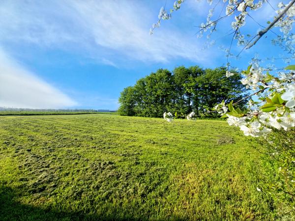 Maison à vendre à Maillezais (85420) - Vendée