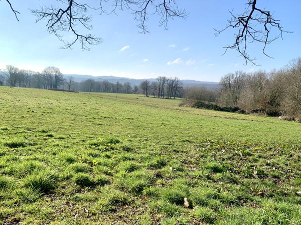 Terrain à vendre à Oradour-sur-Vayres (87150) - Haute-Vienne