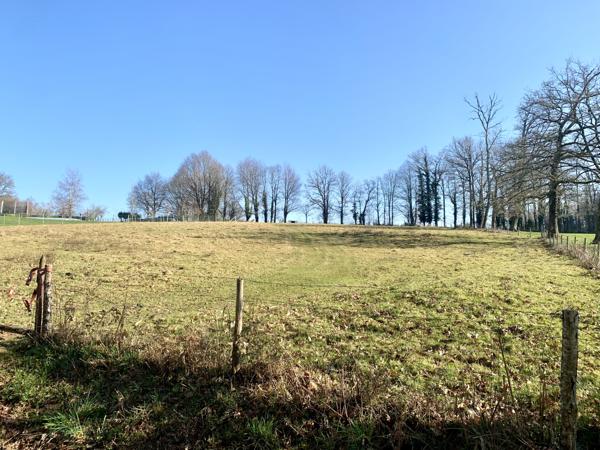 Terrain à vendre à Oradour-sur-Vayres (87150) - Haute-Vienne