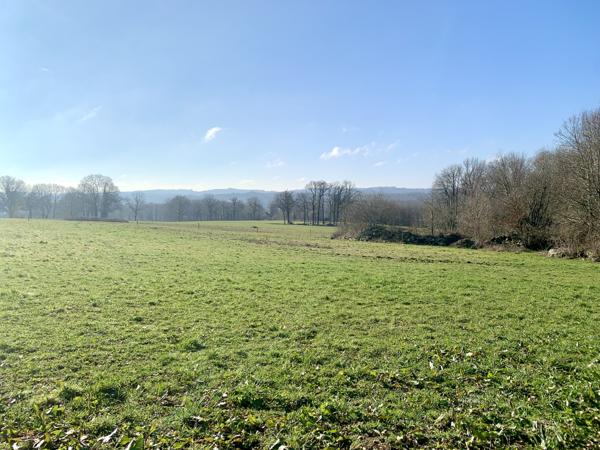 Terrain à vendre à Oradour-sur-Vayres (87150) - Haute-Vienne