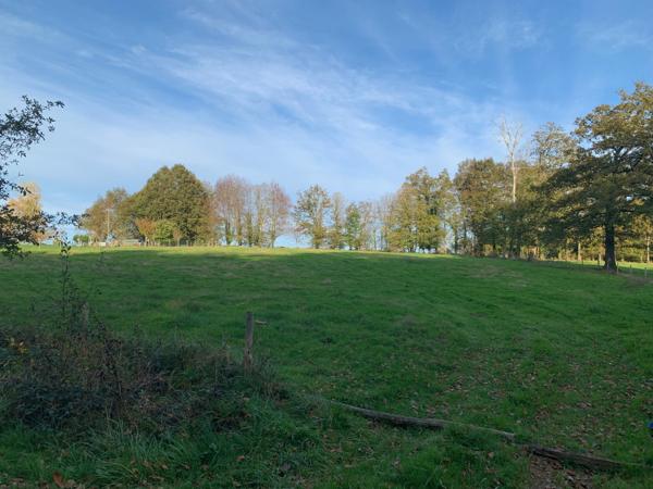 Terrain à vendre à Oradour-sur-Vayres (87150) - Haute-Vienne