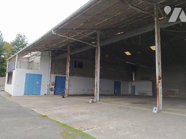 A vendre local d'activité avec un entrepôt, des bureaux et un logement