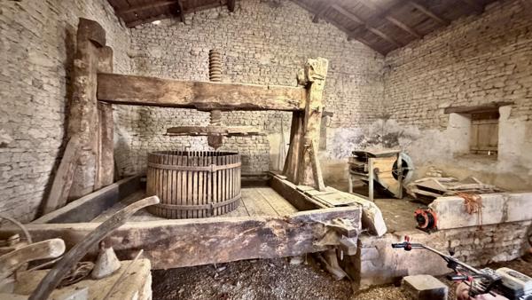 Ancienne demeure viticole d'exception Saint-Jean-d'Angély (17400)