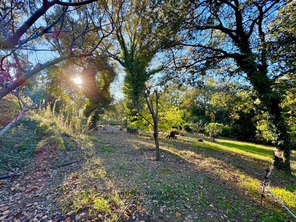 La Garde-Freinet (83680) Maison Piscine Terrain de 4800 m2 La Garde Freinet