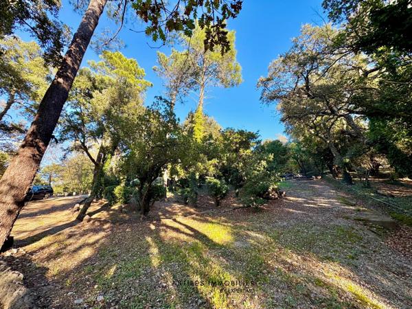 La Garde-Freinet (83680) Maison Piscine Terrain de 4800 m2 La Garde Freinet