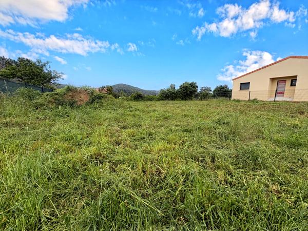 Terrain à vendre à Vinça (66320) - Pyrénées-Orientales