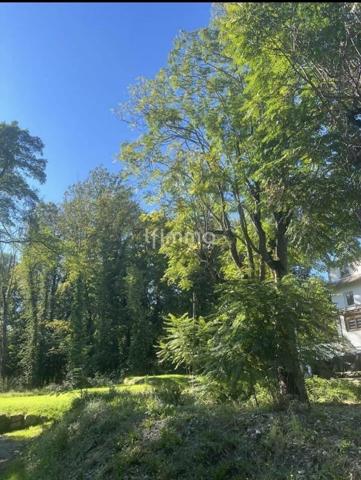 Ancienne discothèque Gotha à rénover à Rixheim