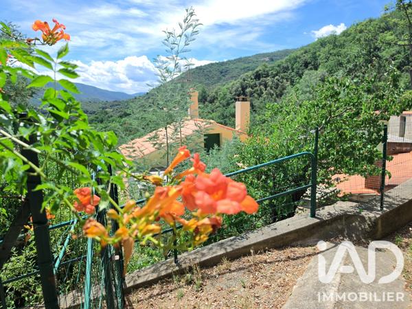 Maison à vendre 9 pièces 139 m² Amélie-les-Bains-Palalda