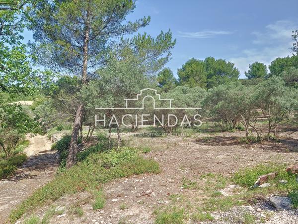 Ventabren (13122) Entre oliviers garrigue et pinède à 12 minutes d'Aix