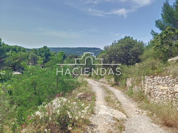 Ventabren (13122) Entre oliviers garrigue et pinède à 12 minutes d'Aix