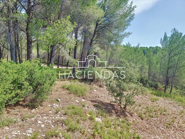 Ventabren (13122) Entre oliviers garrigue et pinède à 12 minutes d'Aix