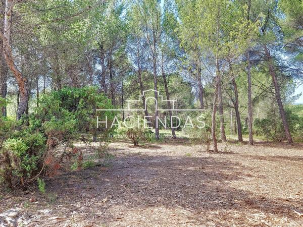 Ventabren (13122) Entre oliviers garrigue et pinède à 12 minutes d'Aix