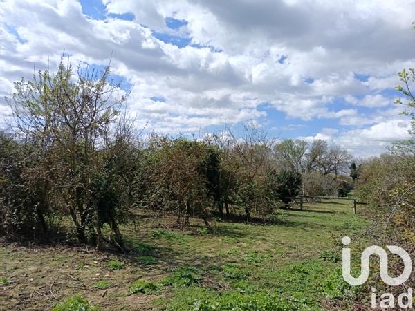 Terrain à vendre 2 058 m² Le Cailar