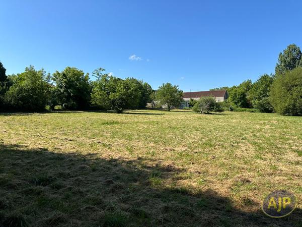 Vente terrain Pons : 53 500 € - AJP Immobilier Pons