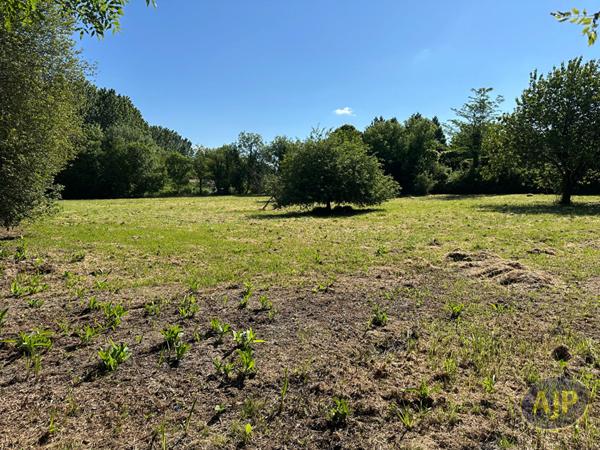 Vente terrain Pons : 53 500 € - AJP Immobilier Pons