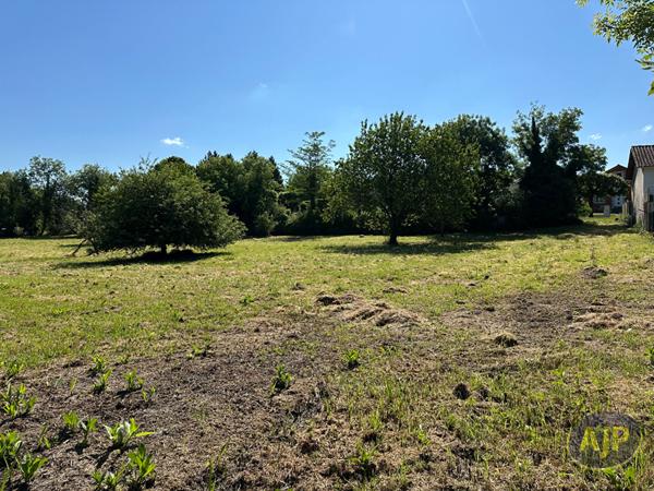 Vente terrain Pons : 53 500 € - AJP Immobilier Pons