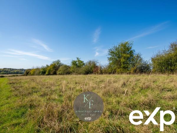 ✨Idéale pour les amoureux des chevaux ✨