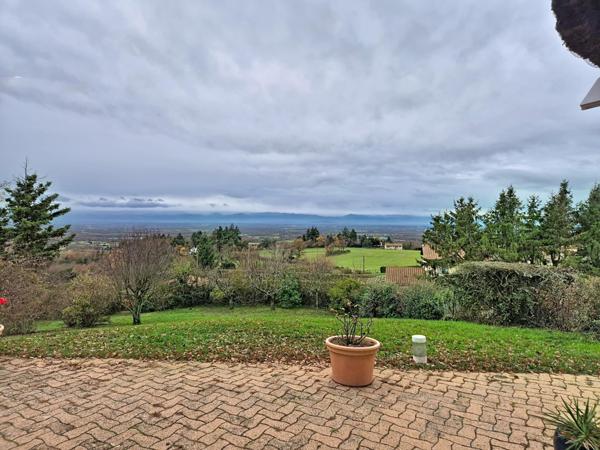 Maison de charme au toit de chaume, grand terrain avec piscine