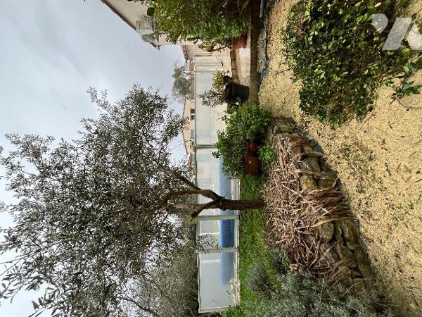 Beaucaire maison d'environ 121 m² sur un terrain clos et arboré de 834 m².