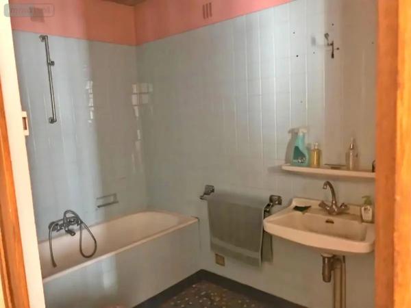Achat - Immeuble Les Aix-d'Angillon 18220 220 m 2 154 m 2