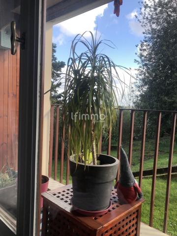 Appartement 78 - Environnement arboré et calme