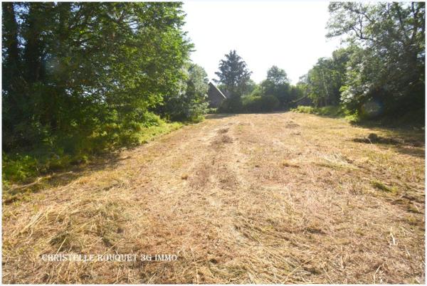 Vente / Grange à Saint-Bonnet-près-Orcival (63210)