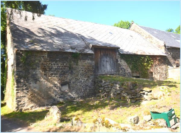 Vente / Grange à Saint-Bonnet-près-Orcival (63210)