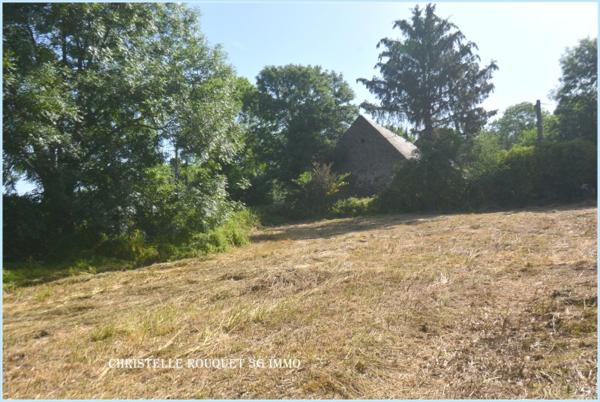Vente / Grange à Saint-Bonnet-près-Orcival (63210)