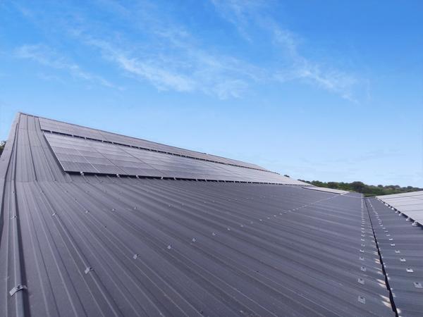 OPPORTUNITÉ D'INVESTISSEMENT RARE – PLUS DE 2 HECTARES DE TERRAIN ET R
