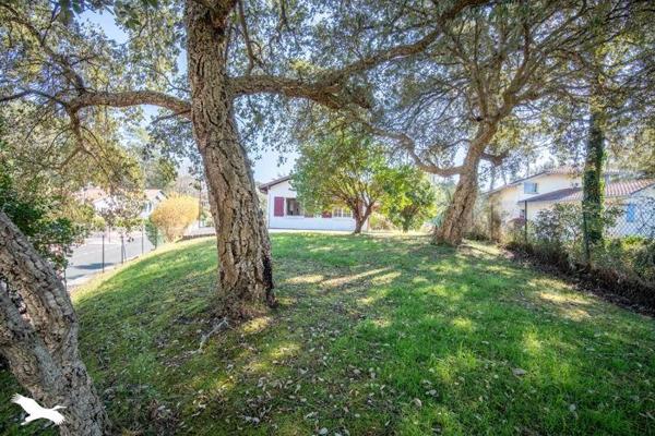 Maison à vendre |  Tarnos |  5 pièces | 151 m²