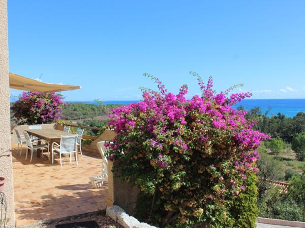 Vente / Maison traditionnelle