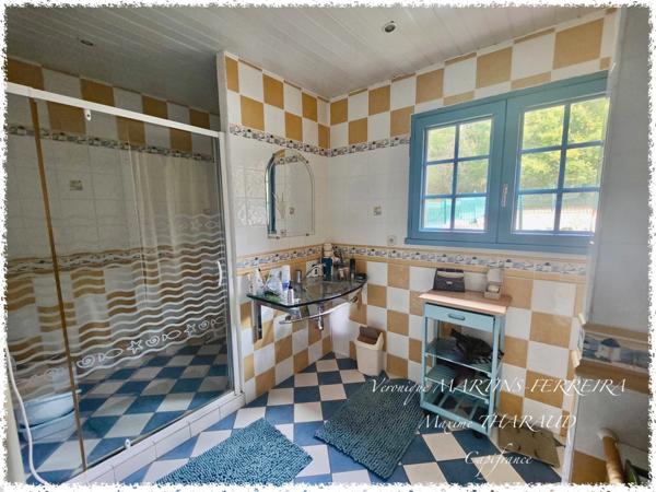 Dpt Cher (18), à vendre SAINT GEORGES SUR LA PREE maison avec dépendance et piscine